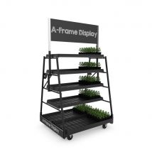 Présentation des plantes