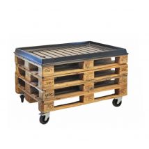 Présentation des plantes europalettes