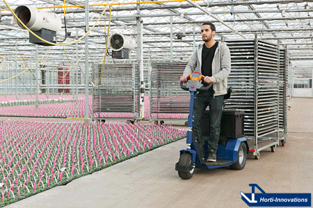 Horti-Trike XL Horti-Trike XL